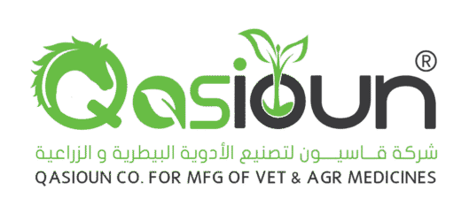 qasioun logo