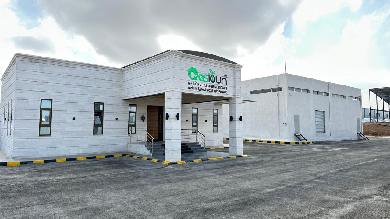 About Our Company